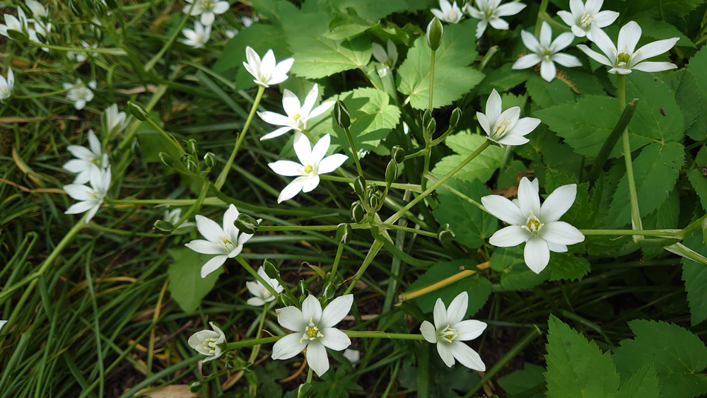 impressie-FOTO-6-DSC_3545