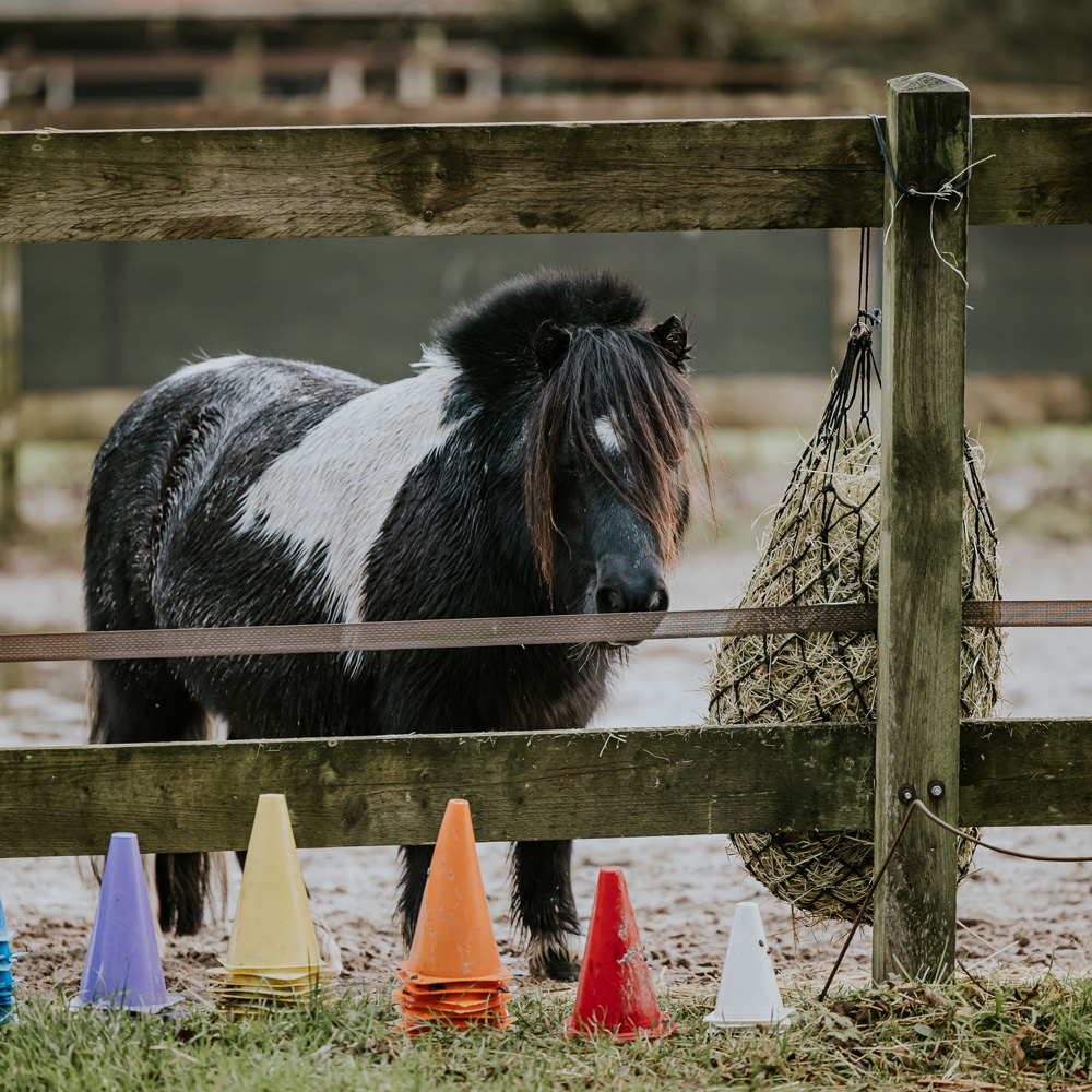 _AR67653-jarno-website