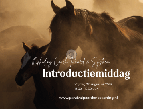 Introductiemiddag opleiding Coach Paard & Systeem PPeSM®