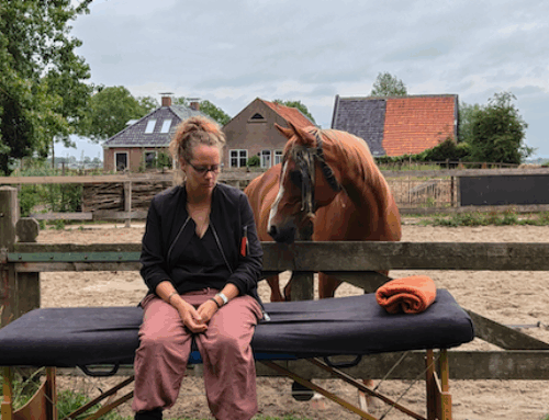 Het gaat niet volgens plan…