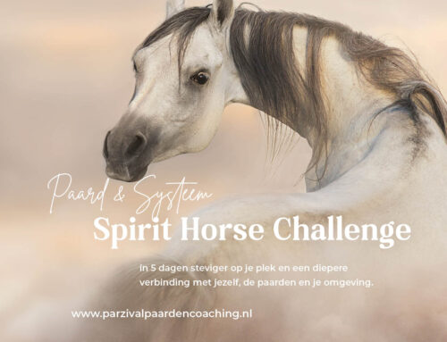 Paard & Systeem Spirit Horse Challenge