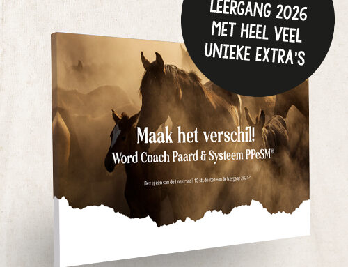 Flexibele startdatum Leergang 2026 Opleiding Coach Paard & Systeem